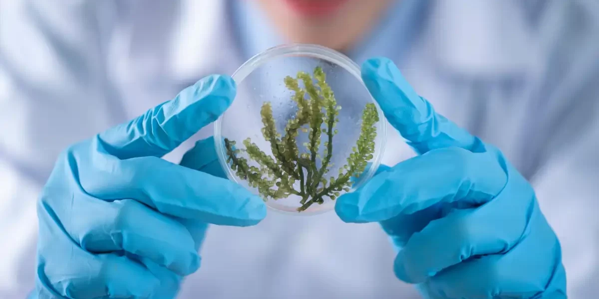 Biobank Hírek