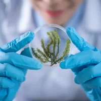 Biobank Hírek
